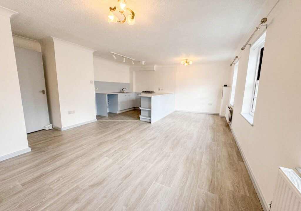 OSR 213 new Living Dining Kitchen overall